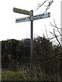 TM2595 : Roadsign on The Green by Geographer