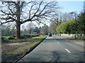 Charcoal Road looking west