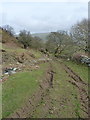 The bridleway above Castell-mawr farm