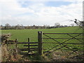 SE2468 : Ripon Rowel Walk south of Risplith by John Slater
