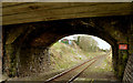 Road bridge, Mossley West station, Newtownabbey (2)