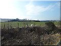 Fodston from the cycle path