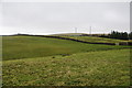 Farmland on Alston Moor