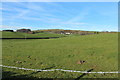 Farmland at Crossmichael