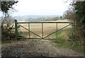 Field gate beside Ringland Lane