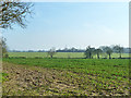 View from lane to Bucklers Hall Farm