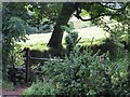 Gate off Glenariffe Road