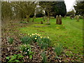 Country churchyard in early spring