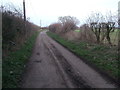 SU2399 : Mill Lane, near Lechlade by Vieve Forward