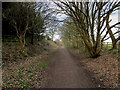 SE3650 : Harland Way approaching Spofforth by Chris Heaton
