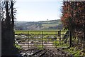 West Somerset : Grassy Field