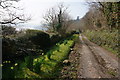 Looking back at Green Well