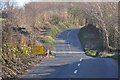 West Somerset : Country Road