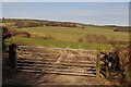 West Somerset : Gate & Grassland