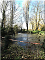 TM3691 : Mill Pond at Ellingham Mill by Geographer