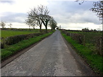J2068 : Hungry House Lane, Magheragall by Dean Molyneaux