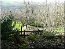 SE0420 : Ripponden FP63 at the foot of a wood by Humphrey Bolton
