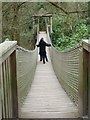 Paignton Zoo - wobbly rope bridge