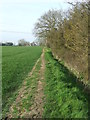 Footpath And Field Boundary