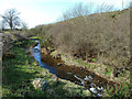 Capenoch Burn View