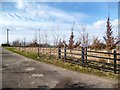 Gate to Hollands Farm