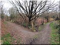 Cyffordd o lwybrau / Junction of paths