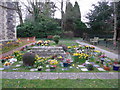 Spring in Rownhams Churchyard (3)