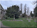 Spring in Rownhams Churchyard (4)