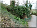 Paignton Zoo - disused lime kiln