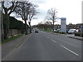 Mansfield Road (A60), Warsop