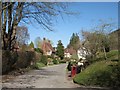 Cottages in Graffham