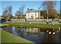 The Village Pond - Hartington