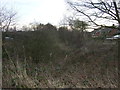 Disused railway cutting