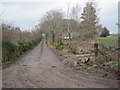 Track to Bogside and Craigs