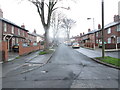 Fir Avenue - viewed from Fir Walk