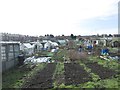 Allotments - Dewsbury Road