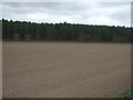 Field towards Clipstone Old Quarter (wood)