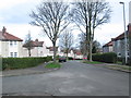 Potter Avenue - viewed from Bentley Road