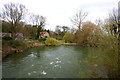 River Great Ouse at Odell