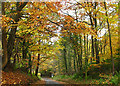 Minor road near Bridge of Allan