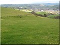 Valley-side pasture