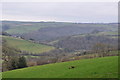 West Somerset : Countryside Scenery