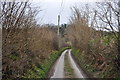 West Somerset : Stone Lane