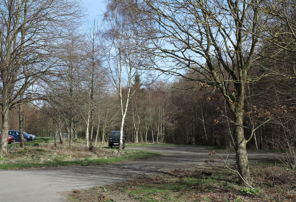 Main Car Park At Chopwell Wood Trevor Littlewood Ccbysa20