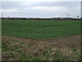 Farmland near Belph