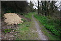 Coast Path to Mothercombe