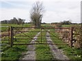 Track to Rooks Bridge