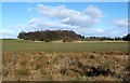 Field near Bargeddie