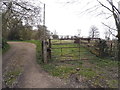 Entrance to field on Buckettsland Lane