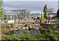 Inverness Botanic Gardens